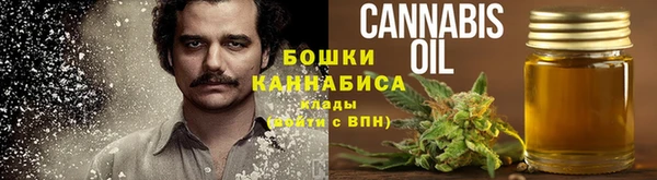 тгк Богородицк