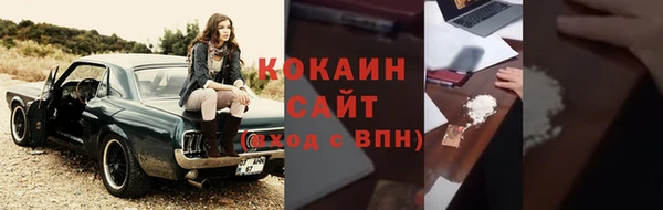 стаф Богородск