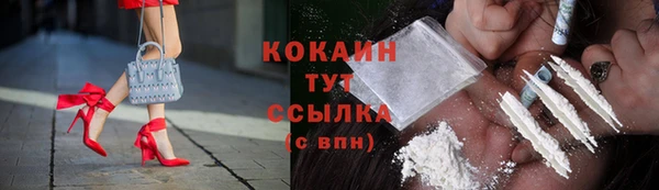 тгк Богородицк