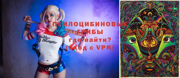 тгк Богородицк