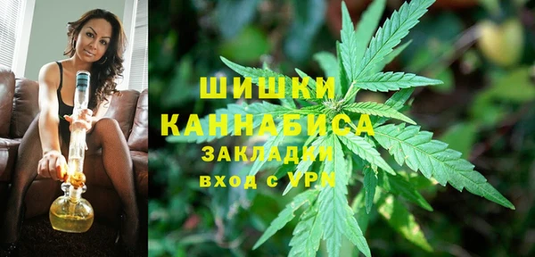 тгк Богородицк