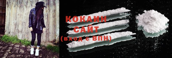 тгк Богородицк
