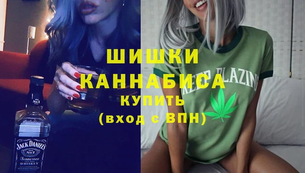стаф Богородск