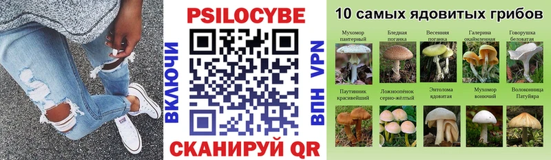 Псилоцибиновые грибы GOLDEN TEACHER  Нерюнгри 